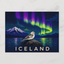 Sneeuwgors onder het Aurora | Iconisch IJsland