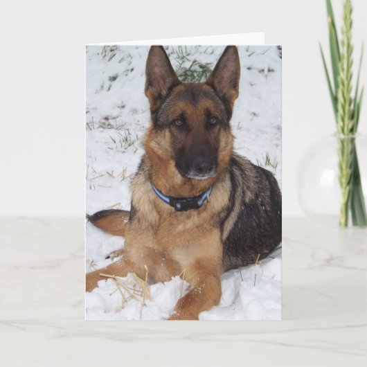 sneeuwherder kaart (Voorkant)