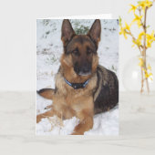 sneeuwherder kaart (Gele Bloem)