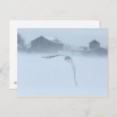 Sneeuwhoen tijdens de winterperiode briefkaart (Voorkant / Achterkant)