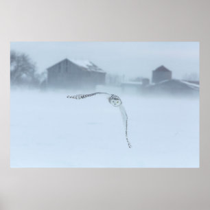 Sneeuwhoen tijdens de winterperiode poster