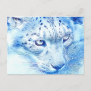 * Sneeuwhoes * Wilde Geest Briefkaart