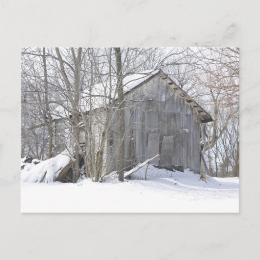 sneeuwHoesje Briefkaart (Voorkant)