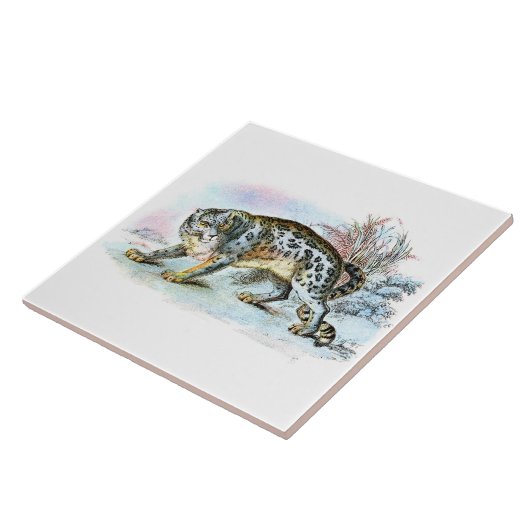  sneeuwhok — Voorbeeld van het dier Tegeltje (Zijkant)