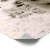 Sneeuwhond 2 poster (Hoek)