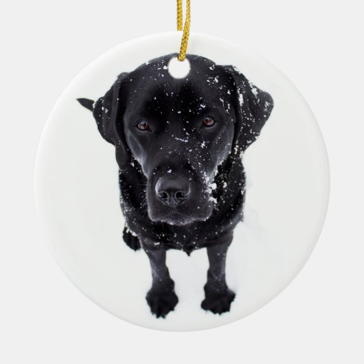 Sneeuwhond - Labrador Puppy - Black Labrador Keramisch Ornament (Voorkant)