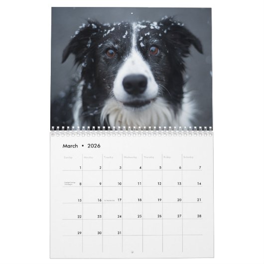 Sneeuwhonden Kalender (Mar 2026)