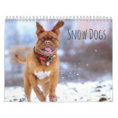 Sneeuwhonden Kalender (Hoes)