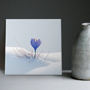 Sneeuwige Blauwe Berg Crocus Herboren Bloem Kerami Tegeltje