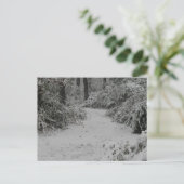 Sneeuwige Bossen Briefkaart (Staand voorkant)