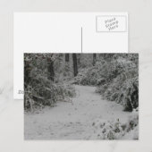 Sneeuwige Bossen Briefkaart (Voorkant / Achterkant)