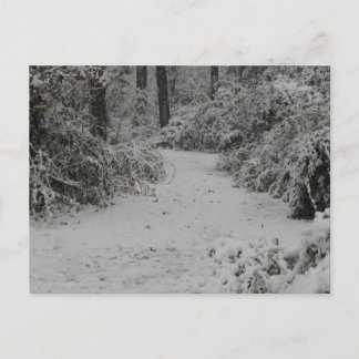 Sneeuwige Bossen Briefkaart
