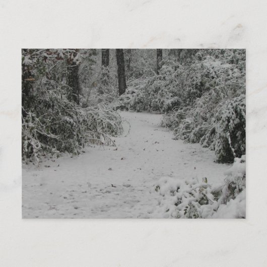 Sneeuwige Bossen Briefkaart (Voorkant)