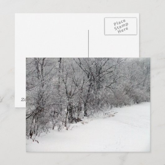 Sneeuwige Bossen Briefkaart (Voorkant / Achterkant)