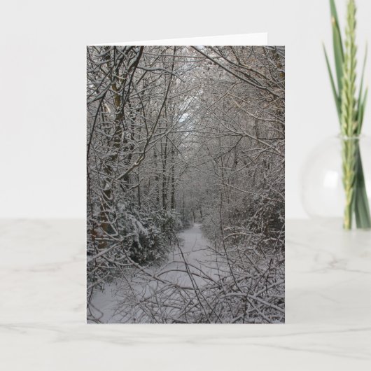 Sneeuwige Bossen Feestdagen Kaart (Voorkant)