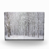 Sneeuwige Bossen Fotoblokken (Voorkant)