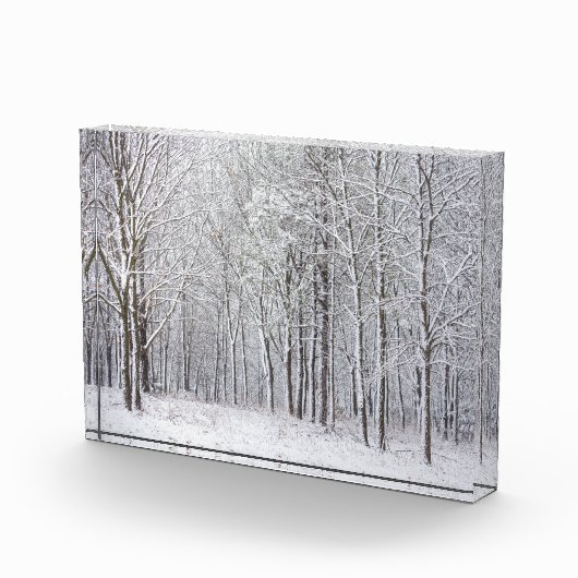 Sneeuwige Bossen Fotoblokken (Rechts)