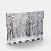Sneeuwige Bossen Fotoblokken (Links)
