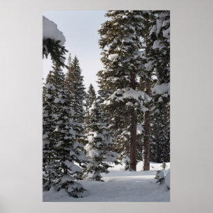 Sneeuwige Bossen Poster