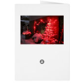 Sneeuwige kerstboomverlichting (Achterkant)