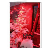 Sneeuwige kerstboomverlichting (Voorkant)