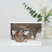 Sneeuwigers Briefkaart (Staand voorkant)