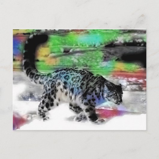 sneeuwjager 5 briefkaart (Voorkant)