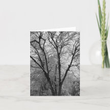 Sneeuwkaart met kale takken