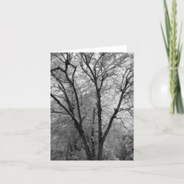 Sneeuwkaart met kale takken bedankkaart