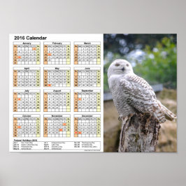 Sneeuwkalender 2016 DINA4-Poster Poster