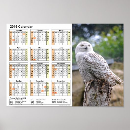 Sneeuwkalender 2016 DINA4-Poster Poster (Voorkant)