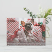 Sneeuwkalligrafie Paarse foto Merry Christmas Kaar Feestdagenkaart (Staand voorkant)