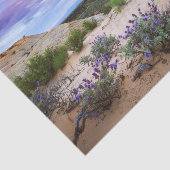 Sneeuwkanyon Wildbloemen in Utah Tissuepapier (Detail)