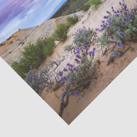 Sneeuwkanyon Wildbloemen in Utah Tissuepapier (Detail)