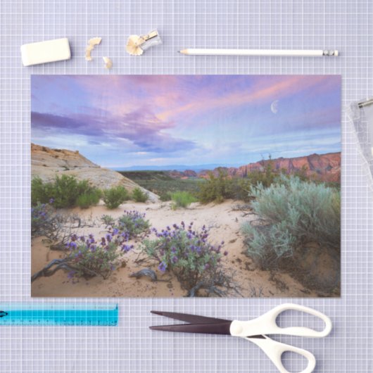 Sneeuwkanyon Wildbloemen in Utah Tissuepapier (Craft)