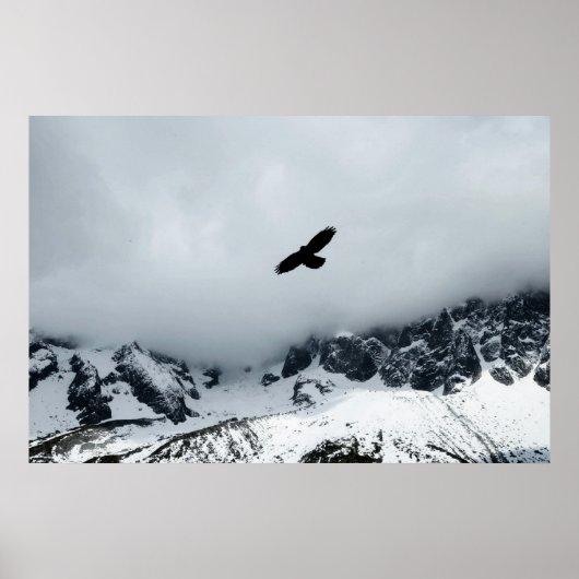 Sneeuwkapje bergachtige vogel geplaatst poster (Voorkant)
