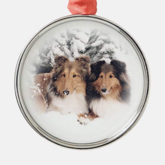 Sneeuwkapjes Metalen Ornament (Voorkant)
