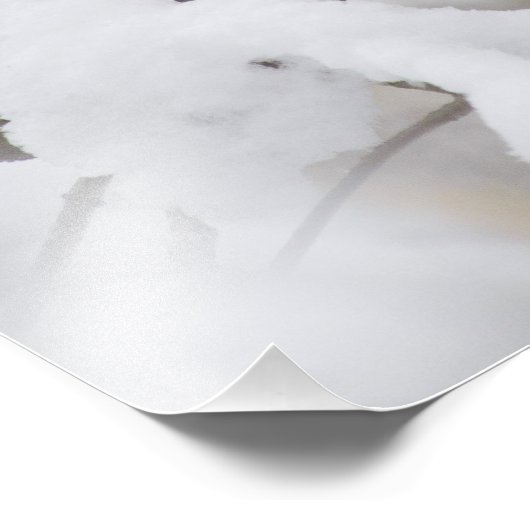 Sneeuwkardinaal Foto Afdruk (Hoek)