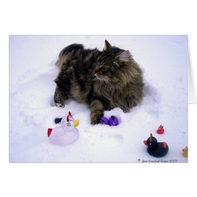 Sneeuwkat (Voorkant Horizontaal)