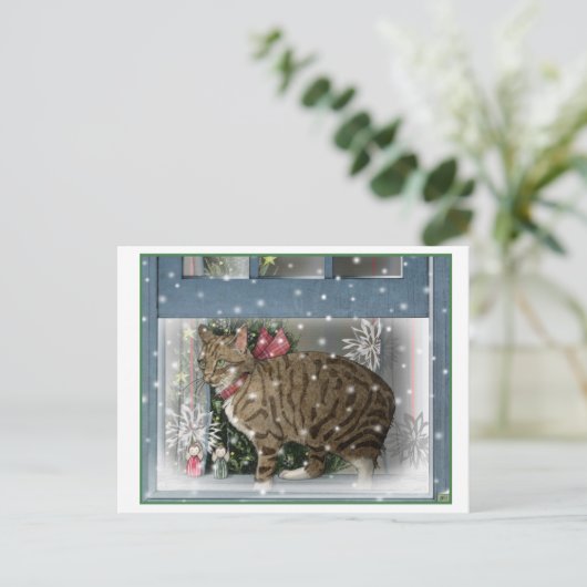 Sneeuwkat Briefkaart (Staand voorkant)