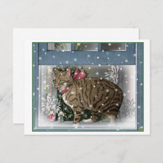 Sneeuwkat Briefkaart (Voorkant / Achterkant)