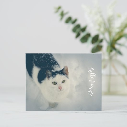 sneeuwkat briefkaart (Staand voorkant)