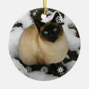 Sneeuwkat Keramisch Ornament