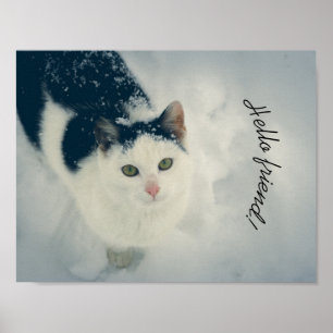 Sneeuwkat Poster