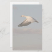 Sneeuwkeukenbanketbakkerij Briefpapier (Voorkant / Achterkant)