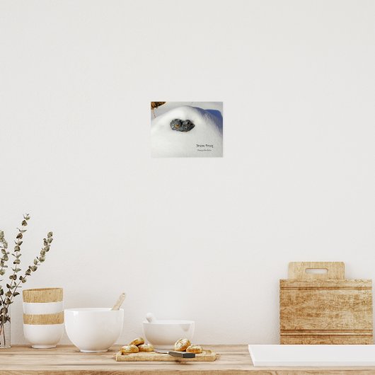 Sneeuwkikker Poster (Keuken)