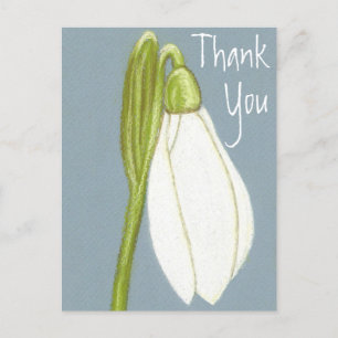 Sneeuwklokje Bloem Bedankt Ansichtkaart Briefkaart