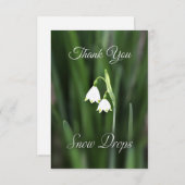Sneeuwklokje Bloem Dankkaart Bedankkaart (Voorkant / Achterkant)
