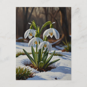 Sneeuwklokje bloemen Briefkaart
