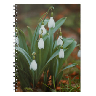 Sneeuwklokje bloemen Spiraal Foto Notitieboek